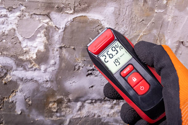 Best Attic Mold Removal  in East Bronson, FL